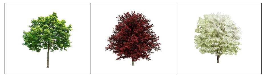 Firewise digi doc photo 2.jpg